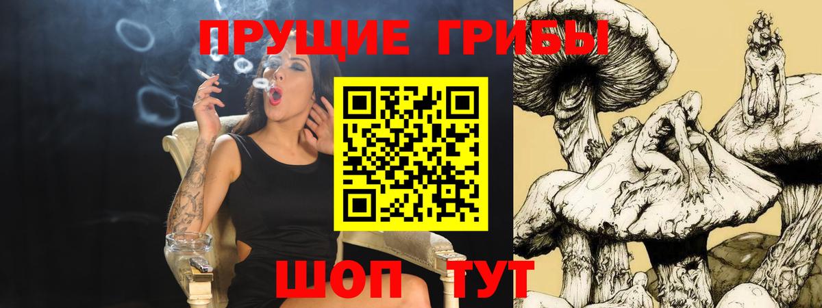 Миллерово  Псилоцибиновые грибы MAGIC MUSHROOMS  Вход с VPN 